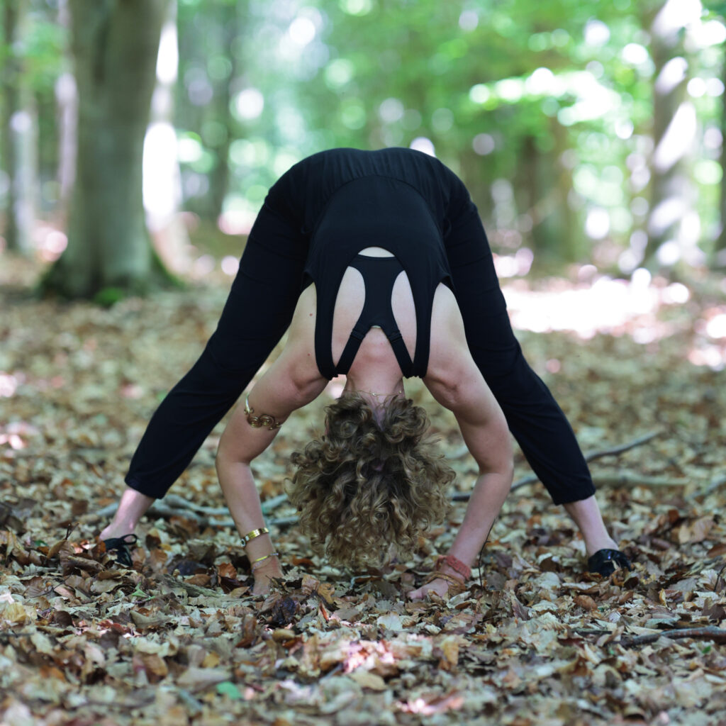 Cours de yoga débutant